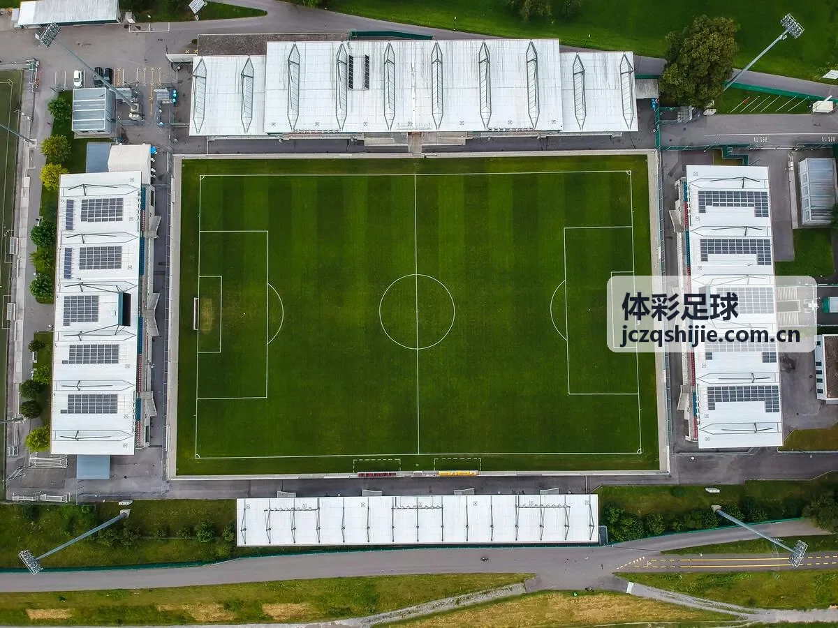 体彩足球数据专家陈志豪